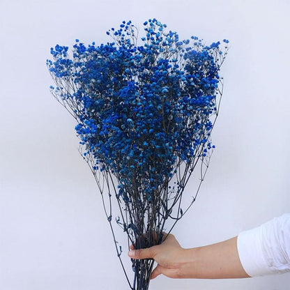 Fresh Real Air Dried Baby's Breath Flower Arrangement