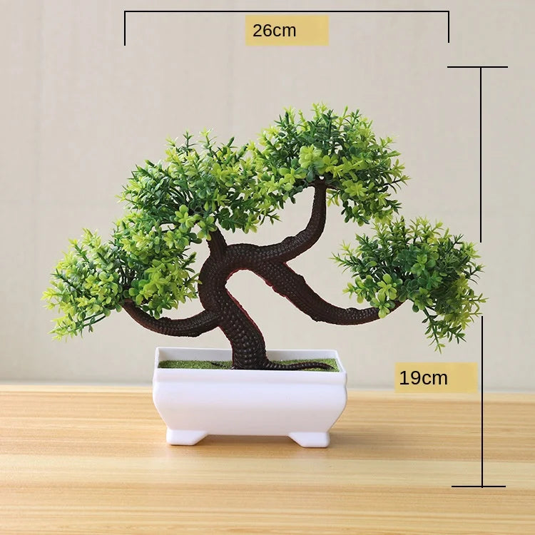 Mini Indoor Bonsai Tree Planter