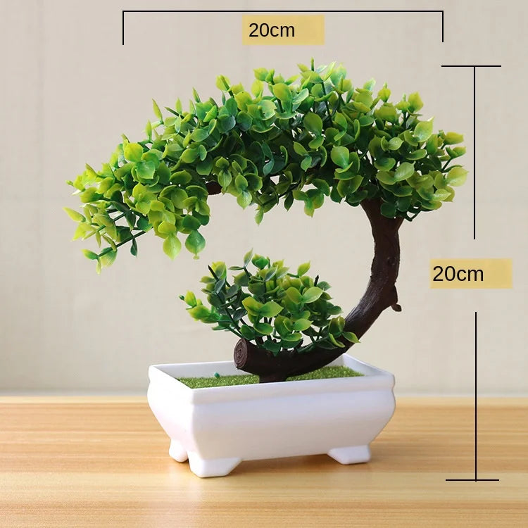 Mini Indoor Bonsai Tree Planter