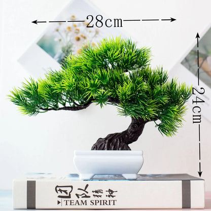 Mini Indoor Bonsai Tree Planter