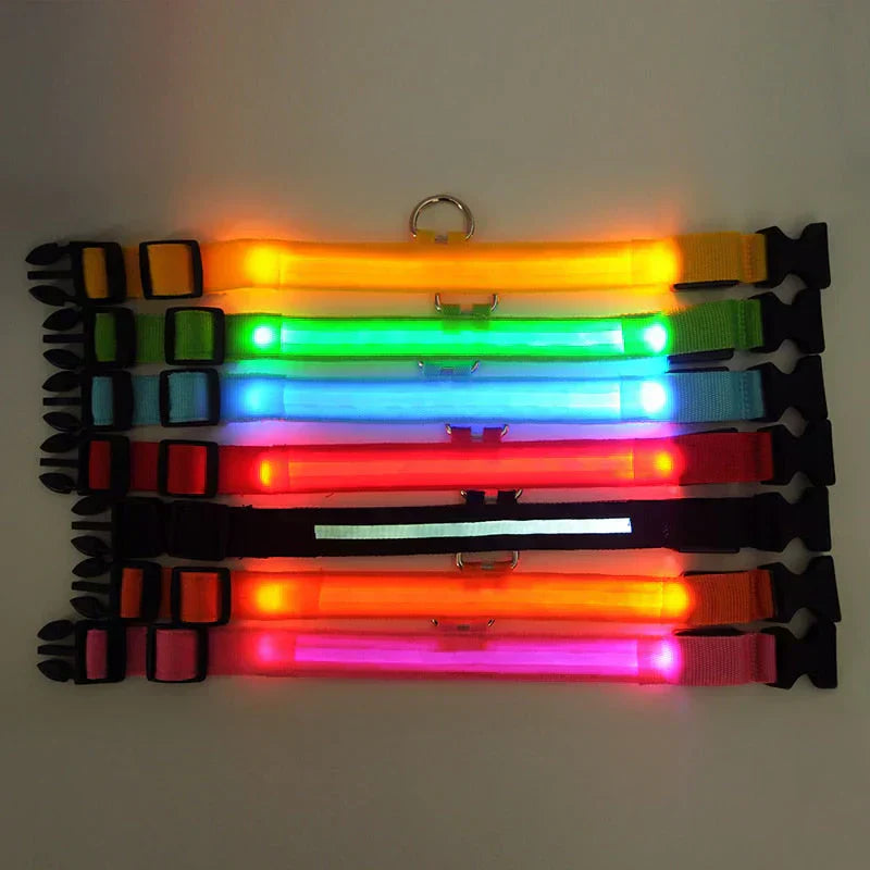 Bright Pet LED Safety Collar