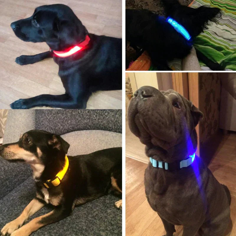 Bright Pet LED Safety Collar