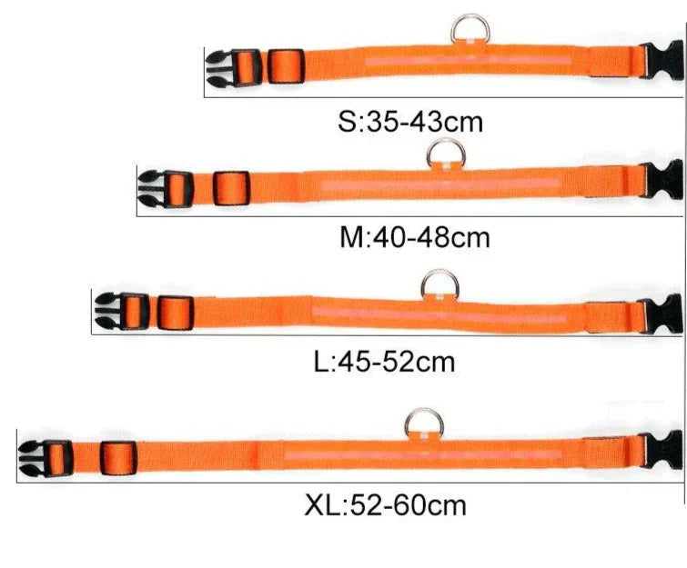 Bright Pet LED Safety Collar