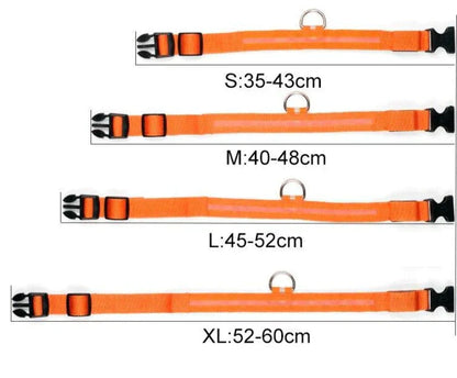 Bright Pet LED Safety Collar