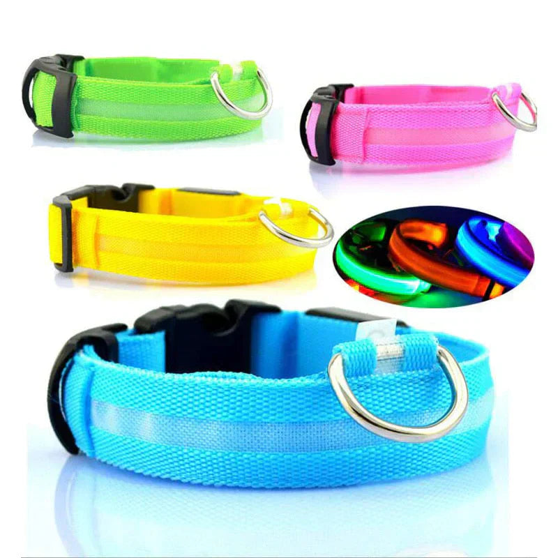 Bright Pet LED Safety Collar
