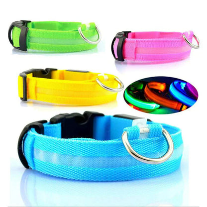 Bright Pet LED Safety Collar