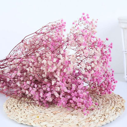 Fresh Real Air Dried Baby's Breath Flower Arrangement