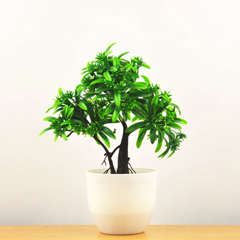 Mini Indoor Bonsai Tree Planter