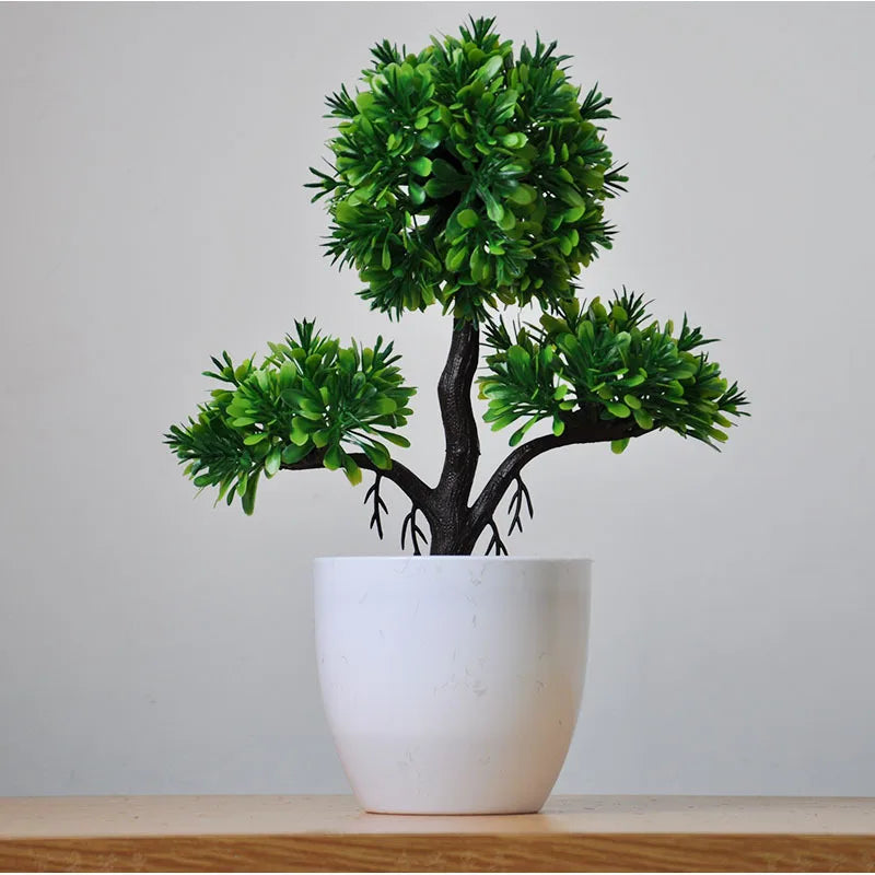 Mini Indoor Bonsai Tree Planter