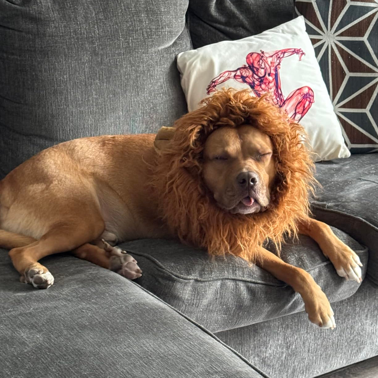 Spooky Lion Mane Dog Wig Costume - Cofik