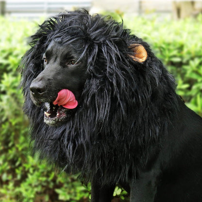 Spooky Lion Mane Dog Wig Costume