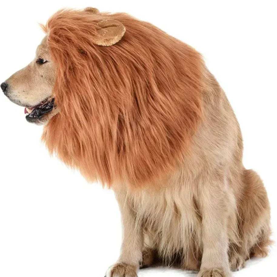 Spooky Lion Mane Dog Wig Costume