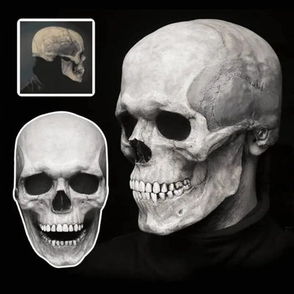 Spooky Realistic Skull Halloween Mask