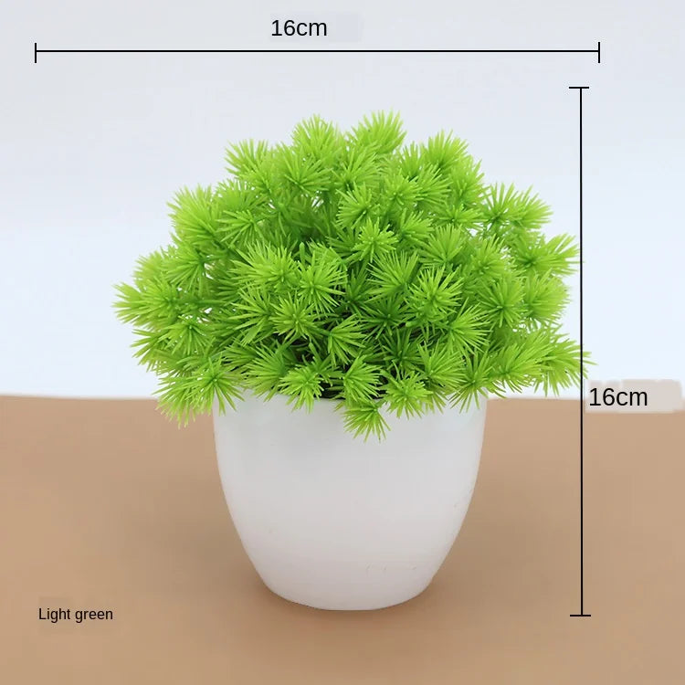 Mini Indoor Bonsai Tree Planter
