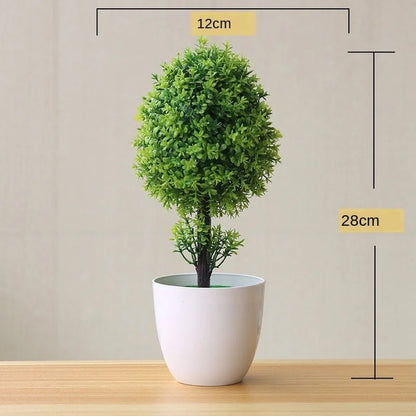 Mini Indoor Bonsai Tree Planter