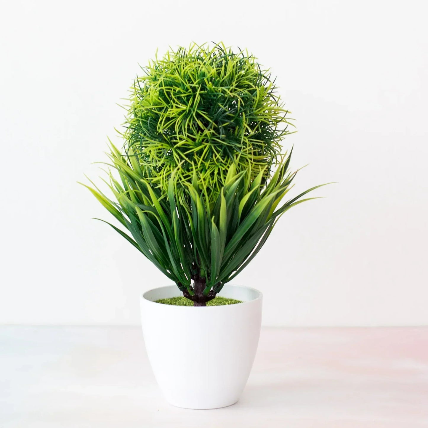 Mini Indoor Bonsai Tree Planter