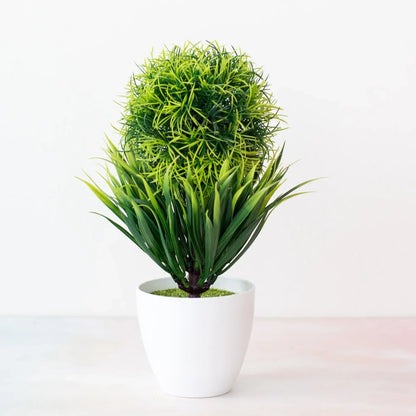 Mini Indoor Bonsai Tree Planter