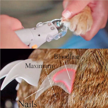 Pet Nail Clipper Set, Safe and Easy to Use