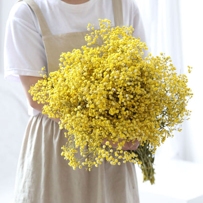 Fresh Real Air Dried Baby's Breath Flower Arrangement