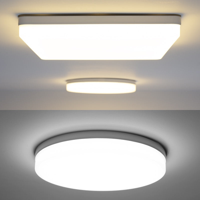 Elegant Home Modern LED Ceiling Lamp