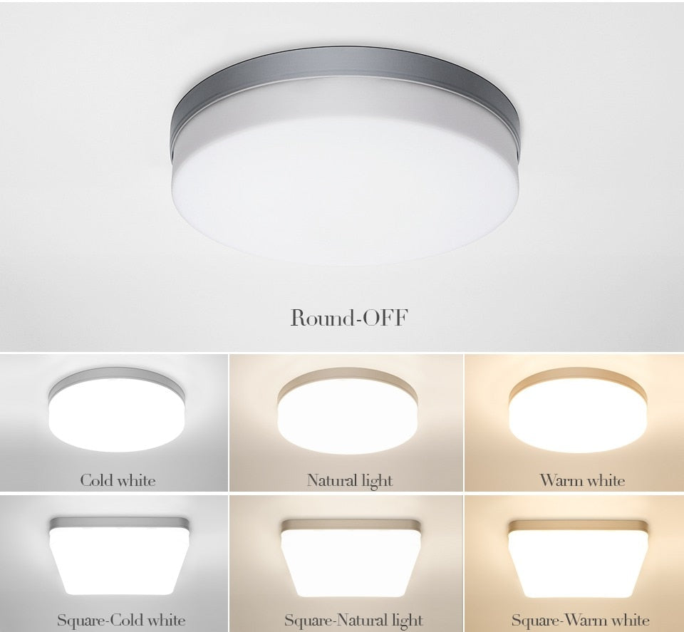 Elegant Home Modern LED Ceiling Lamp