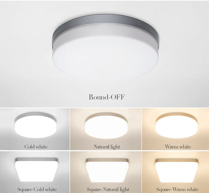 Elegant Home Modern LED Ceiling Lamp