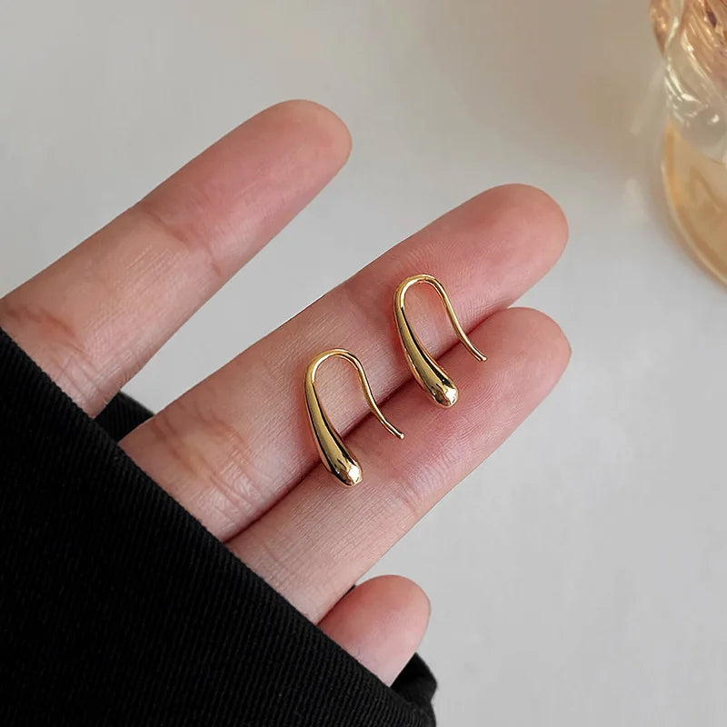 Delicate Sterling Silver Teardrop Hook Earrings - Cofik