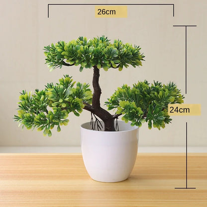 Mini Indoor Bonsai Tree Planter
