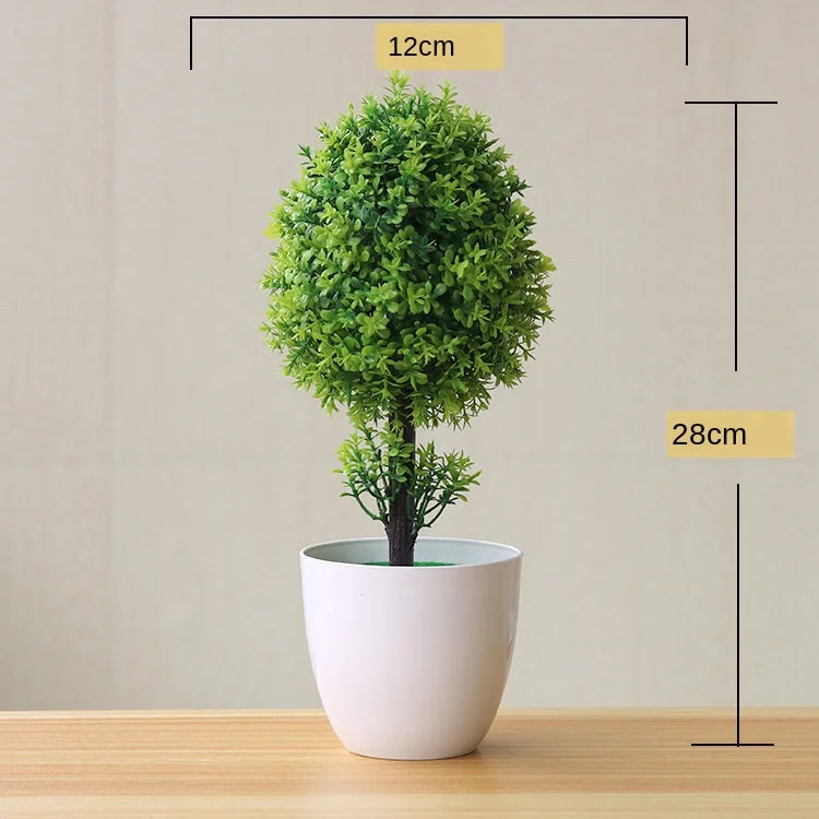 Mini Indoor Bonsai Tree Planter
