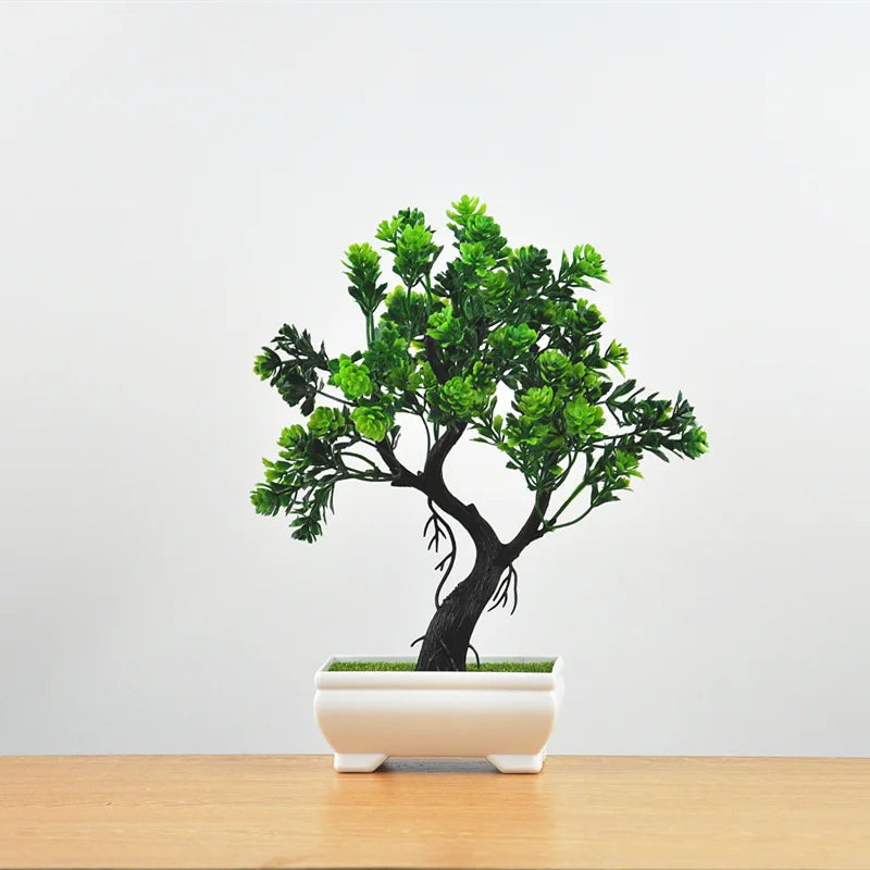 Mini Indoor Bonsai Tree Planter