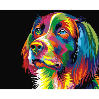 Colorful Pet Art Kit