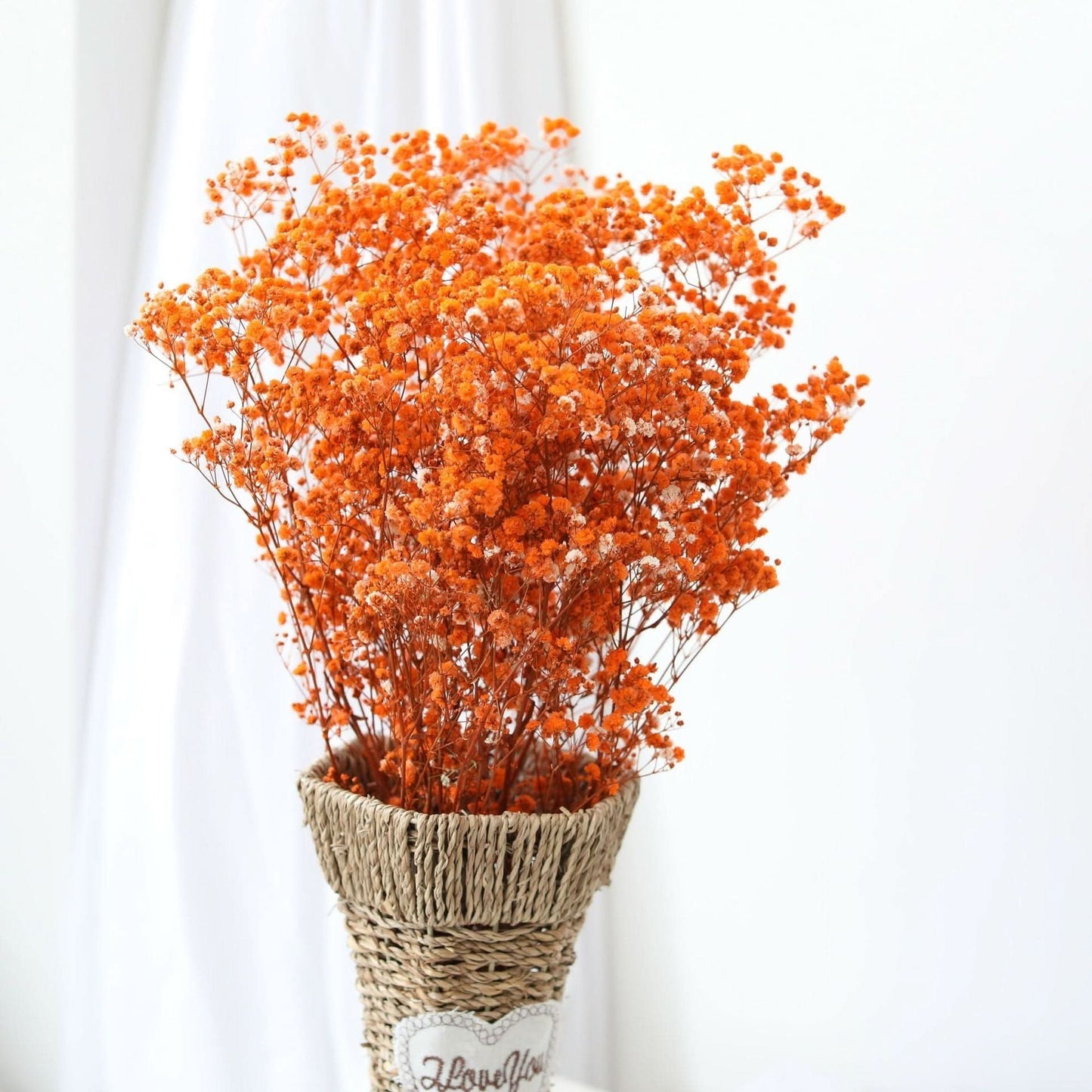 Fresh Real Air Dried Baby's Breath Flower Arrangement