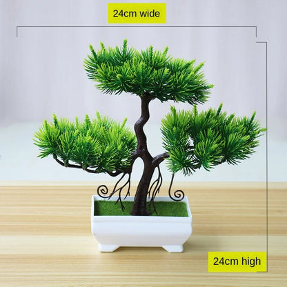 Mini Indoor Bonsai Tree Planter