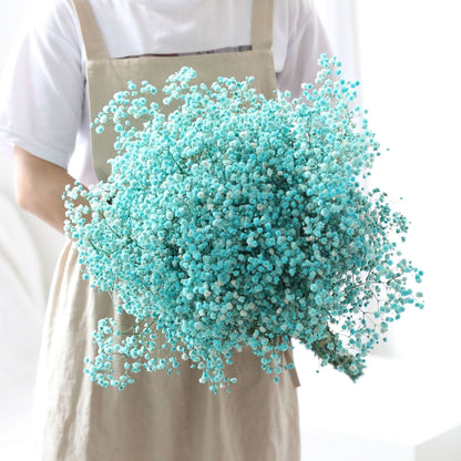 Fresh Real Air Dried Baby's Breath Flower Arrangement