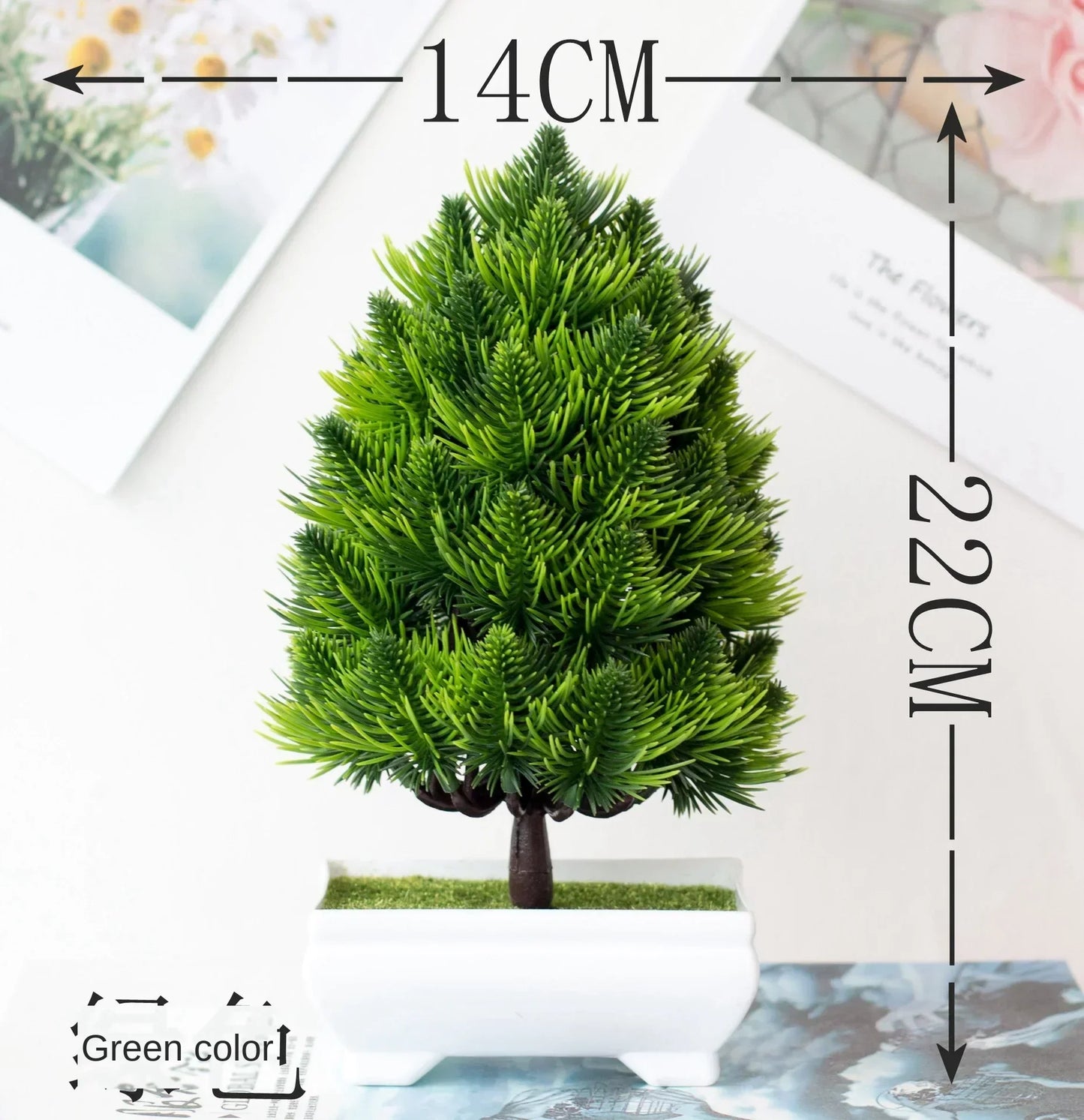 Mini Indoor Bonsai Tree Planter