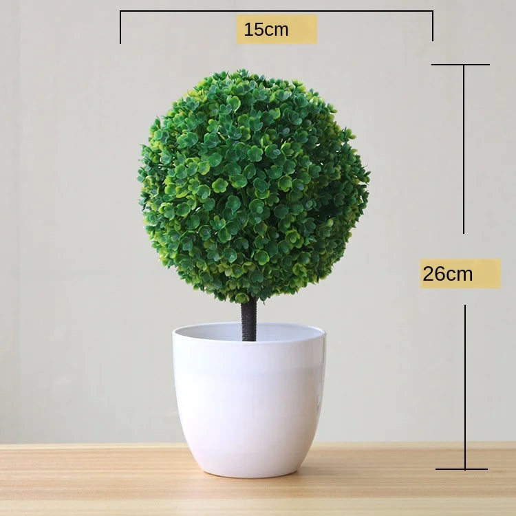 Mini Indoor Bonsai Tree Planter