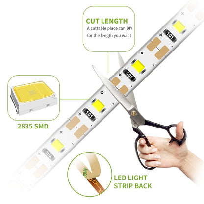 Bright Automatic LED Strip Lighting