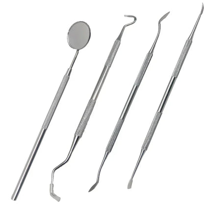 Dental Care | Stainless Steel Plaque Remover Kit