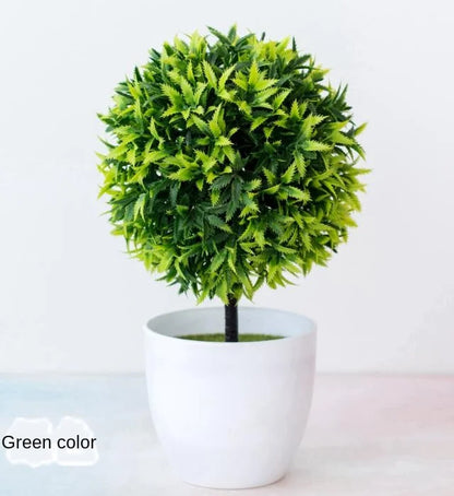 Mini Indoor Bonsai Tree Planter