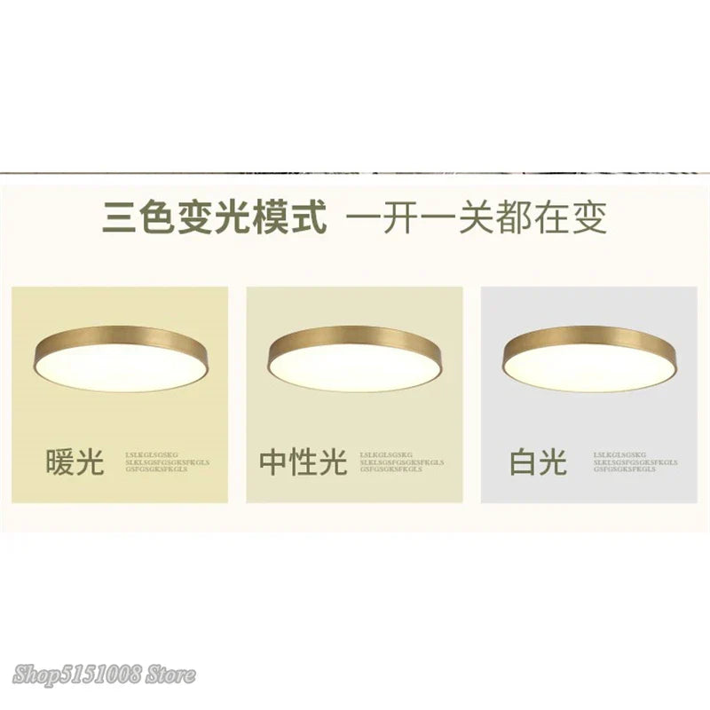 Slim Gold LED Ceiling Light