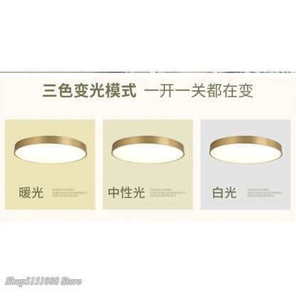 Slim Gold LED Ceiling Light