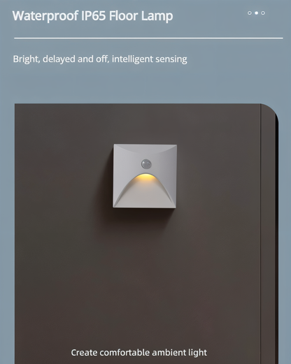 Outdoor Motion Sensor LED Wall Lamp
