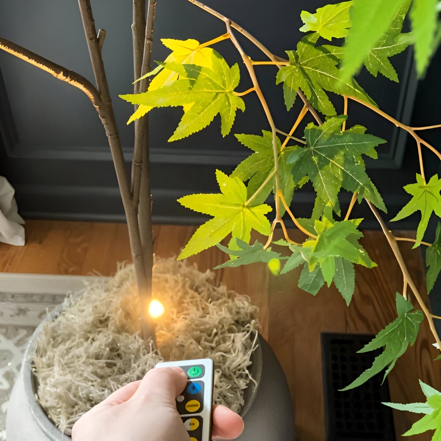 Compact Dimmable LED Spot Light