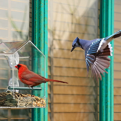 Easy Fill Bird Feeder with Strong Suction Cup Base - Cofik