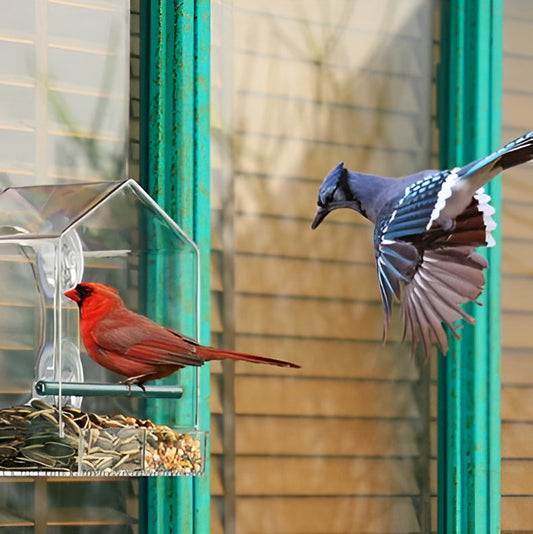 Easy Fill Bird Feeder with Strong Suction Cup Base - Cofik