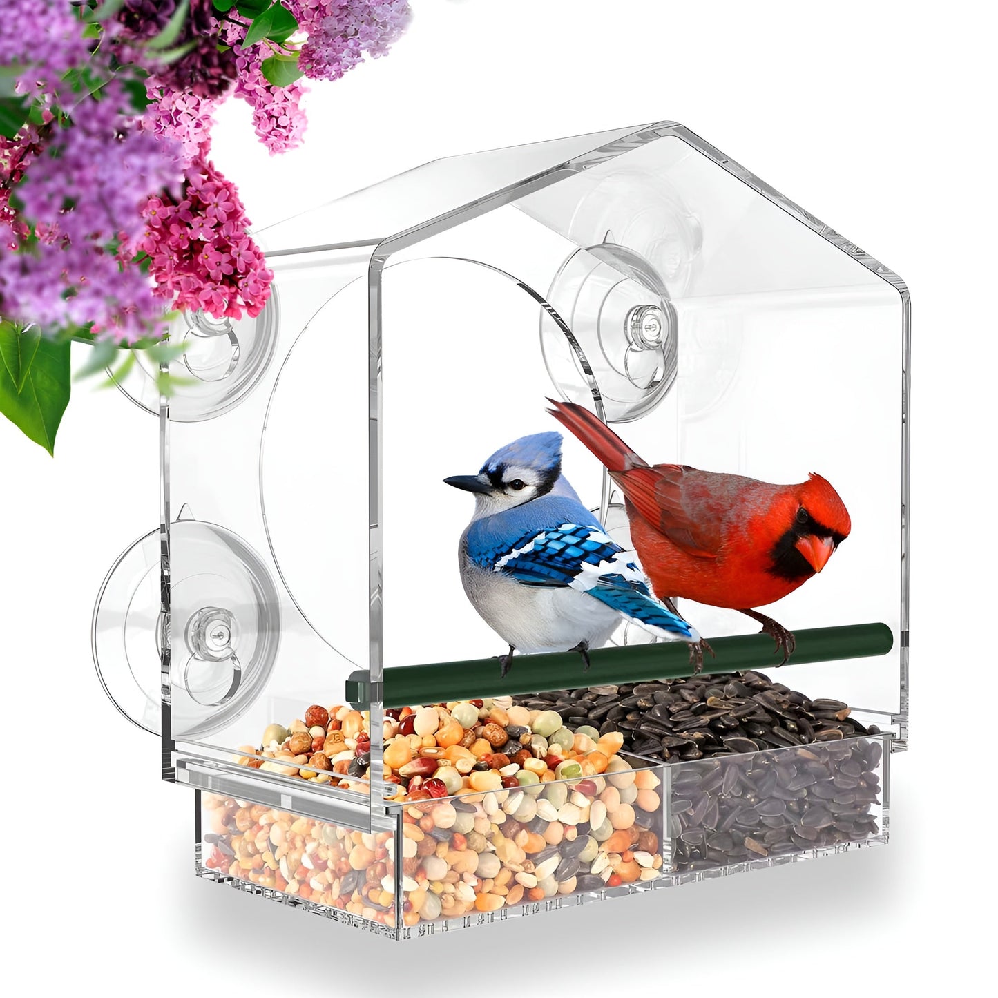 Easy Fill Bird Feeder with Strong Suction Cup Base