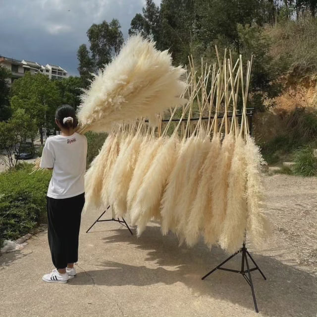 Luxurious Big Feather Grass Decor - Cofik