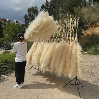 Luxurious Big Feather Grass Decor - Cofik