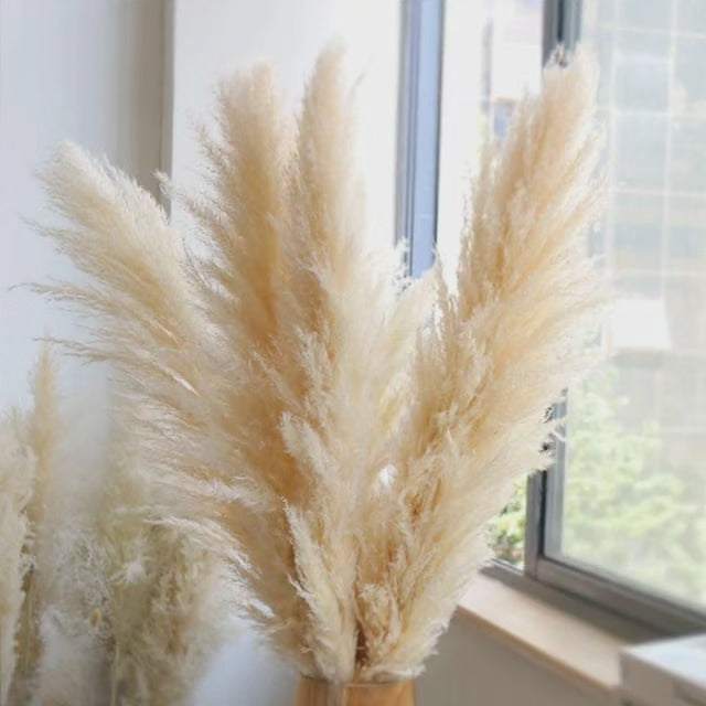 Luxurious Big Feather Grass Decor