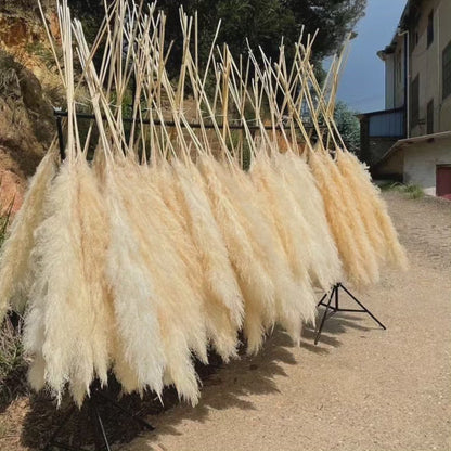 Luxurious Big Feather Grass Decor